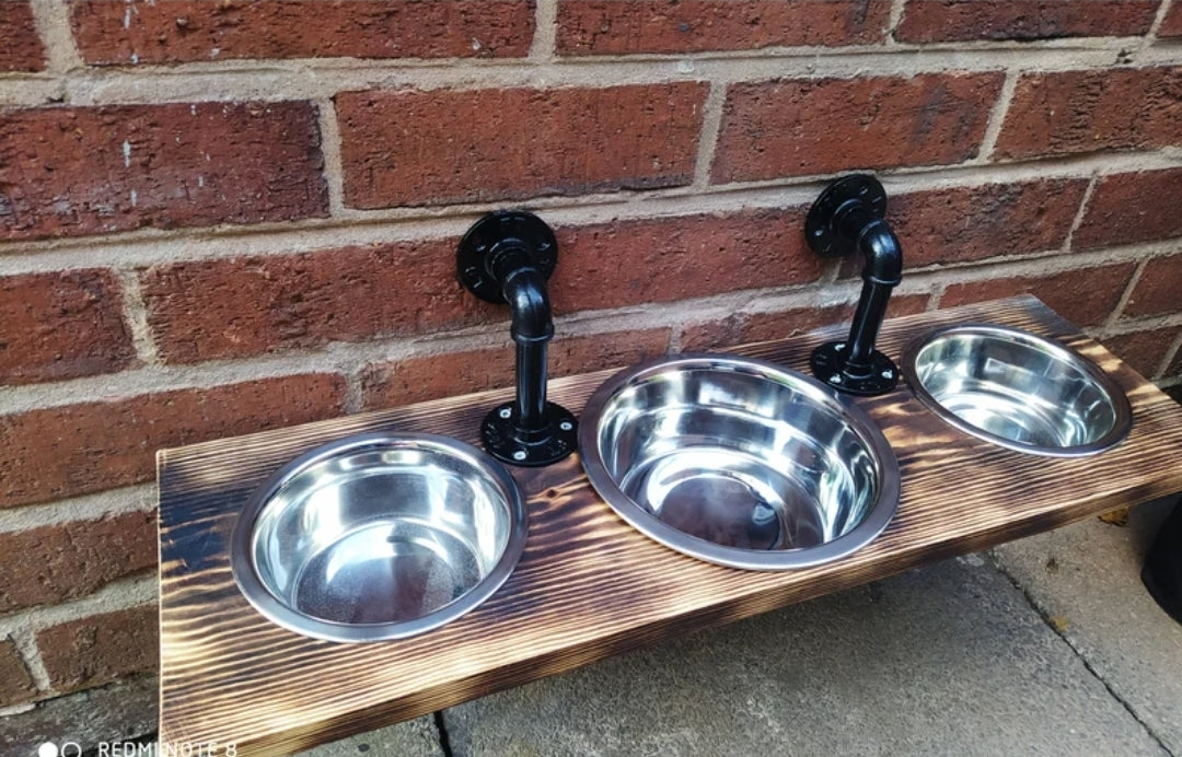 Unique Dog Feeders